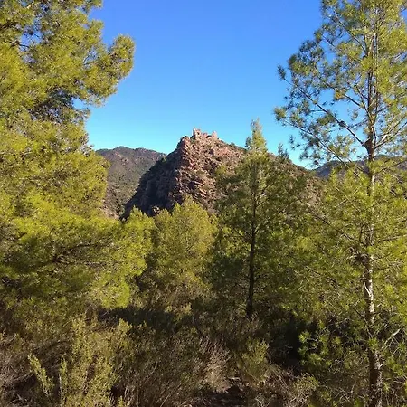 Castillo El Real Holiday home *